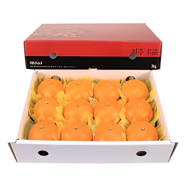 제주 천혜향 (3KG) 원산지 : 국내산