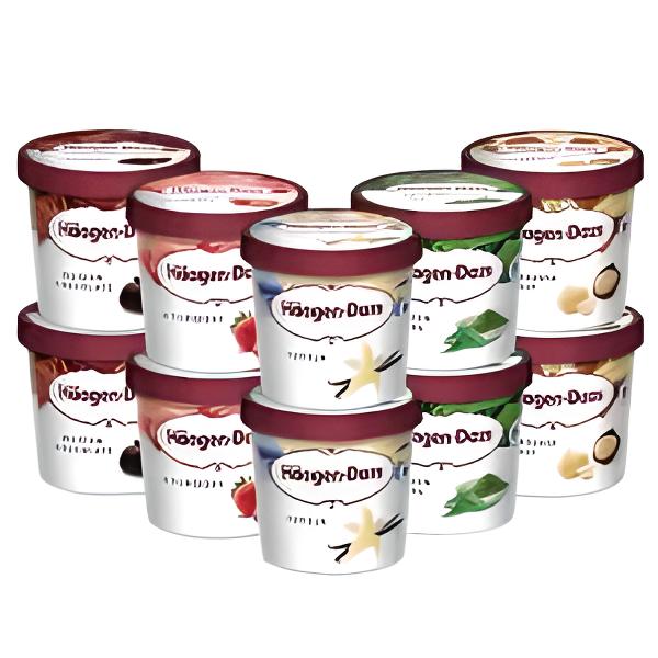 HAAGEN-DAZS 미니컵 컬렉션 100ML X 10