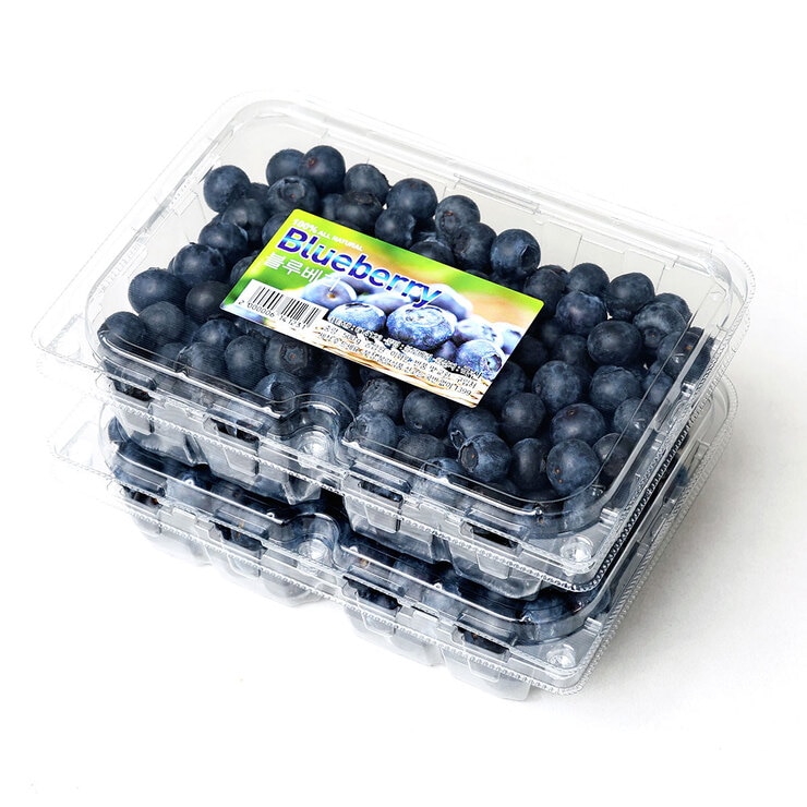 국내산블루베리 500g x 2팩