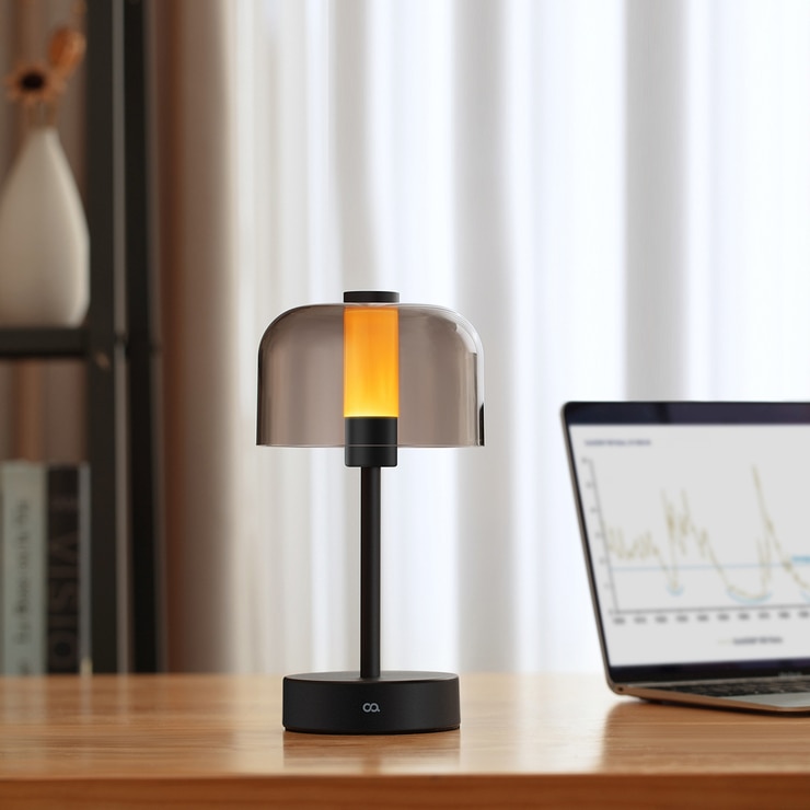 오아 포터블 램프S