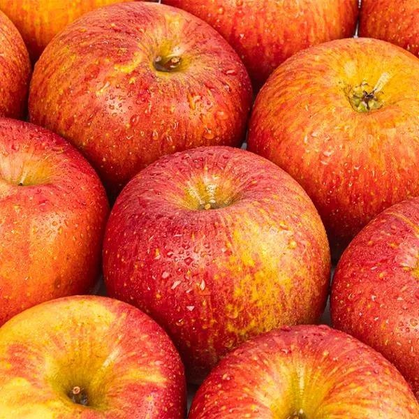 사과(2.5KG) 원산지:국내산