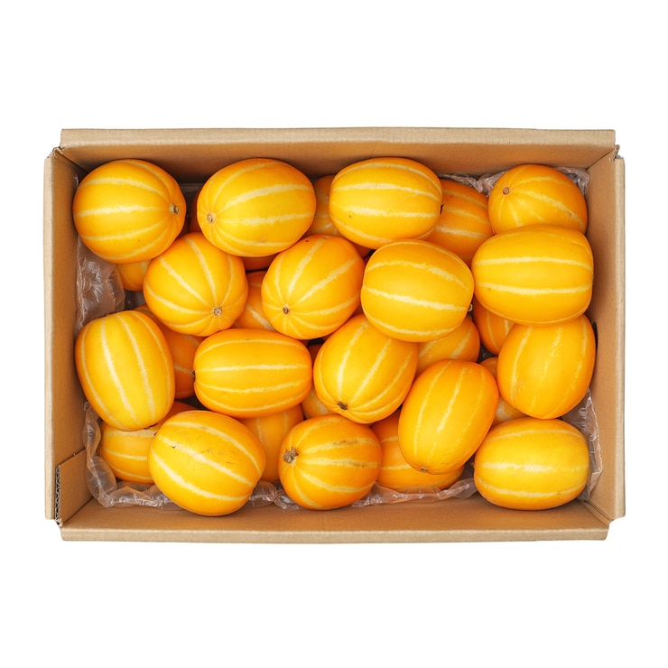 미니 참외 5KG